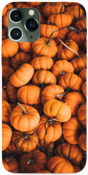 Pumpkin2