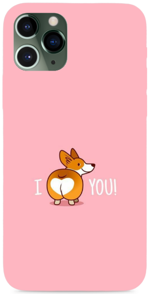 Corgi love