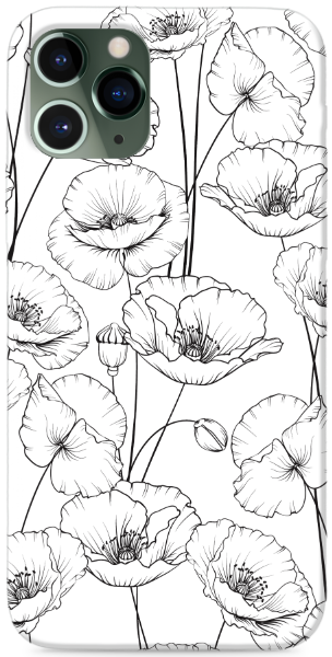 Poppies